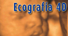 Novedad Ecografia 4D